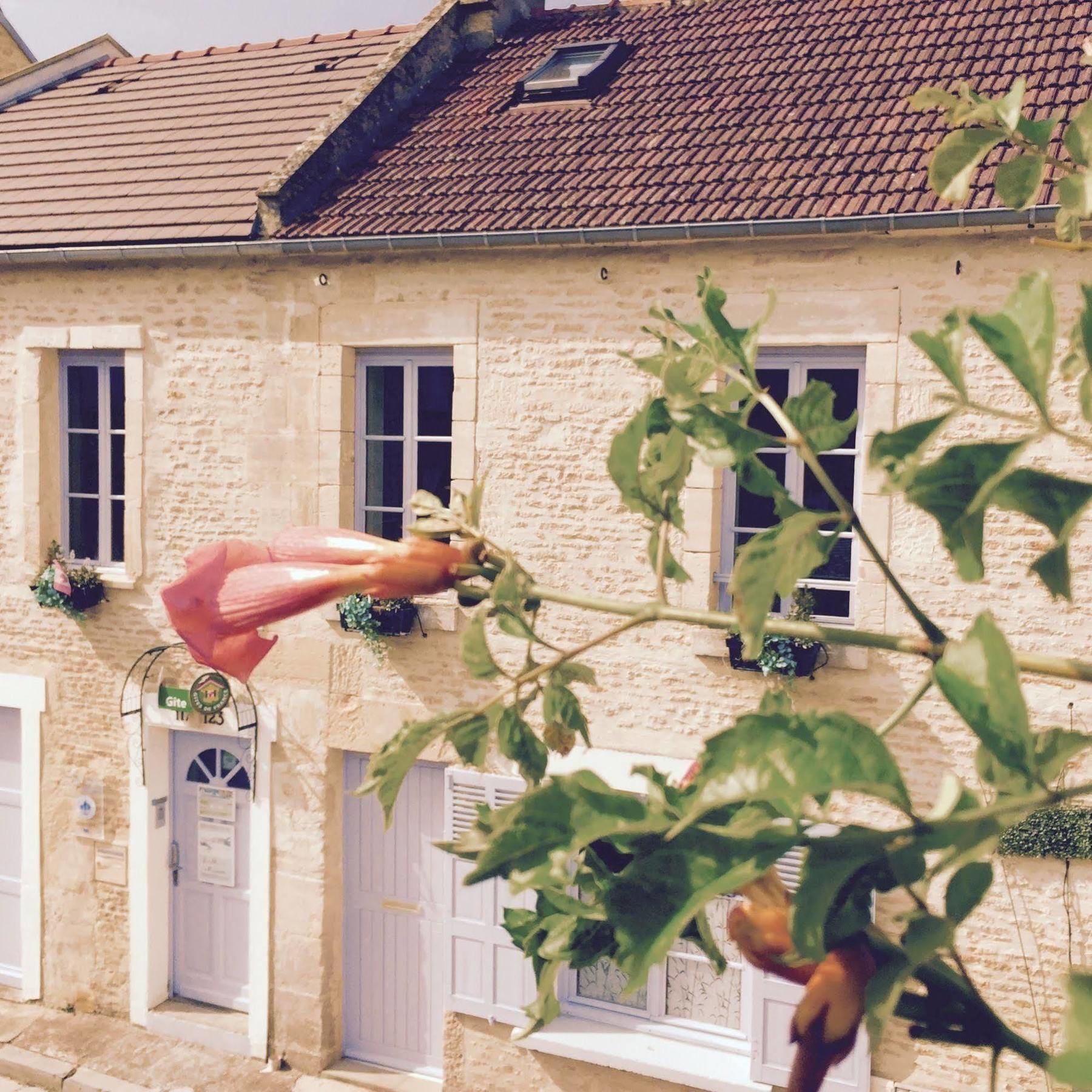 Junogite - Residence Bernières-sur-Mer Buitenkant foto