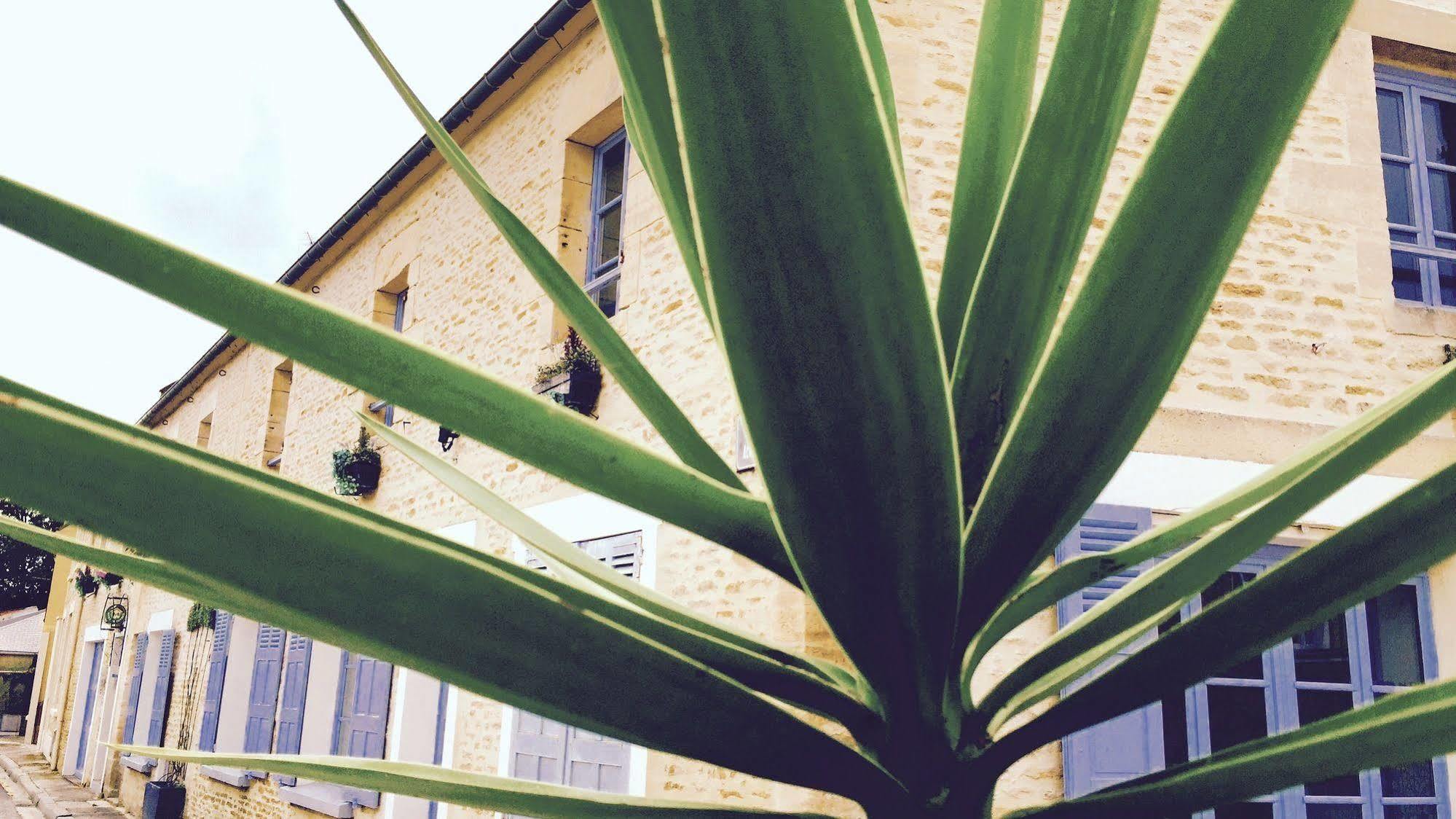 Junogite - Residence Bernières-sur-Mer Buitenkant foto